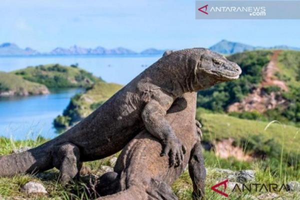 5 Pulau Wisata yang Menarik Didatangi di NTT