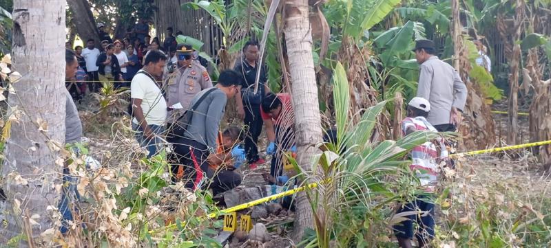 ODGJ Asal Alor Kabur Dari RSJ Naimata Kemudian Aniaya Warga di Desa Mata Air Hingga Tewas