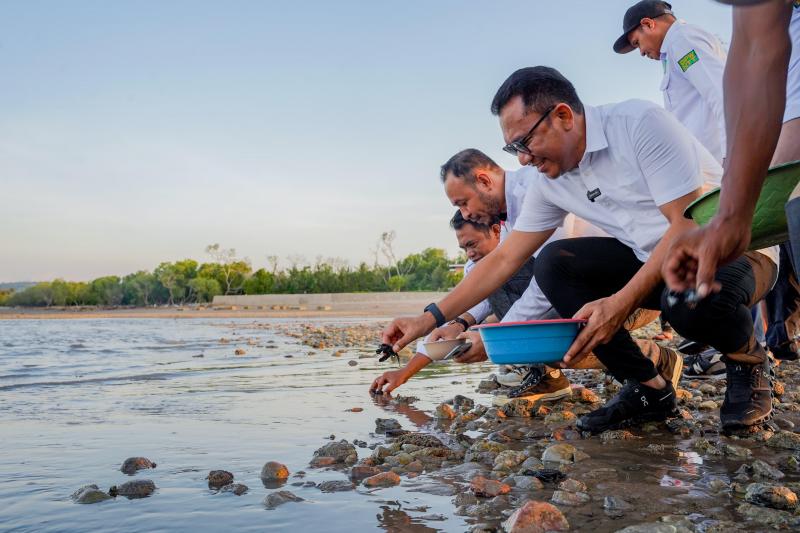 Bukti Kepedulian Konservasi Laut, Kaka Ansy Lema Lepas Ratusan Tukik ke Laut 