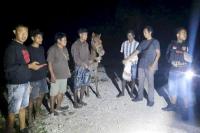 Kuda Warga Sumba Tengah yang Sebulan Hilang Akhirnya Ditemukan Polisi