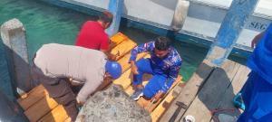 Aksi Terpuji Satpolairud Polres Manggarai Barat Perbaiki Lantai Papan Dermaga Biru Labuan Bajo