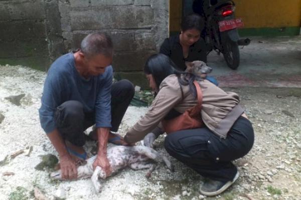 Sinergitas Polresta Kupang Bantu Vaksinasi Puluhan Ekor Anjing di Naioni