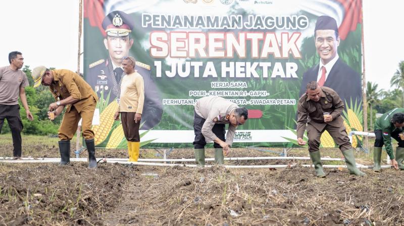 Wujudkan Swasembada Pangan, Polres Belu Laksanakan Penanaman Jagung Serentak 1 Juta Hektar