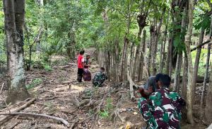 Jaga Kelestarian Alam, Satgas Yonif 741/GN Kembali Tanam Bibit Pohon Kemiri di Malaka