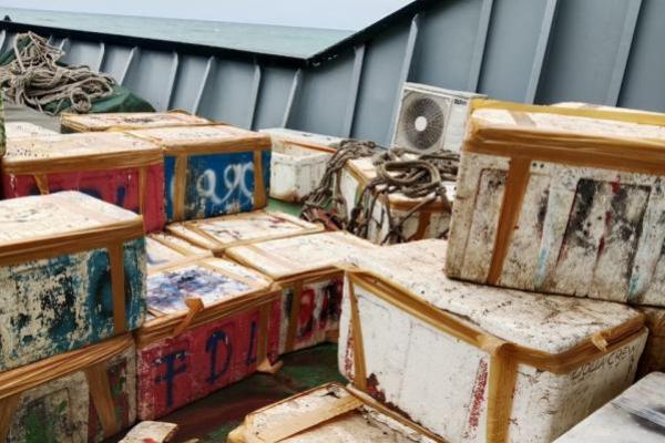 Empat Hari Tak Berlayar, Ratusan Kilogram Ikan Dalam Colbox di Atas KM Sabuk Nusantara Memburuk 