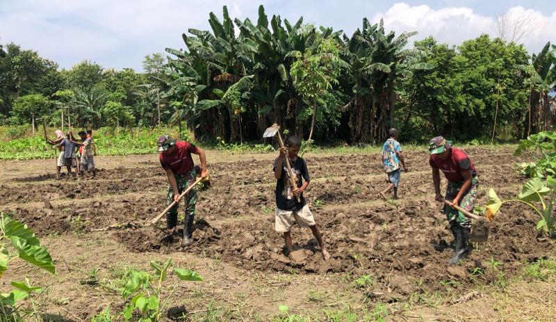 Satgas Yonif 741/GN Bantu Warga Buka Lahan Pertanian di Belu  