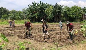 Satgas Yonif 741/GN Bantu Warga Buka Lahan Pertanian di Belu  