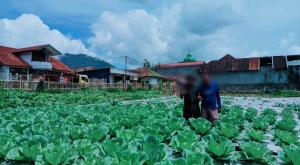 Dukung Ketahanan Pangan Nasional, Lapas Ruteng Kembangkan Holtikultura Bagi Warga Binaan