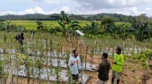 Kebun Kelompok Tani Giat Makmur Jadi Contoh Dukung Program MBG