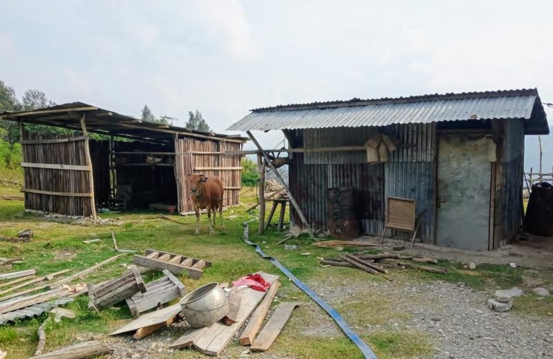 KATANTT.COM---Kasus pengrusakan rumah, pencemaran nama baik hingga pengancaman di Desa Nanaenoe telah dilaporkan korban Paulus Nahak ke Polsek Tasifeto Barat, Kabupaten Belu perbatasan RI-RDTL.