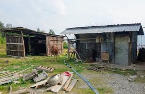 Salah satu rumah yang dirusak milik Paulus Nahak warga Desa Nanaenoe, Kecamatan Nanaet Dubesi, Kabupaten Belu perbatasan RI-RDTL.