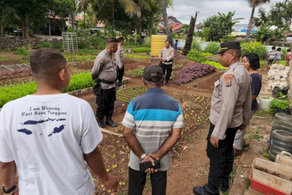Rumah Belajar di Oebufu Kelola Pekarangan Jadi Kebun Bergizi untuk Penuhi Kebutuhan Gizi Siswa