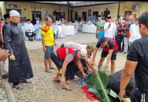 Polda NTT dan 21 Polres jajaran berkurban ratusan hewan kurban sapi dan kambing pada hari raya Idul Adha tahun 2025.