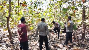 Judi Sabung Ayam di Camplong-Fatuleu Berhasil Digagalkan Polres Kupang