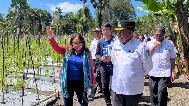  Petani Muda Soe Tumbuhkan Solusi Gizi dan Peluang Ekonomi Bersama Plan Indonesia & Citi Indonesia