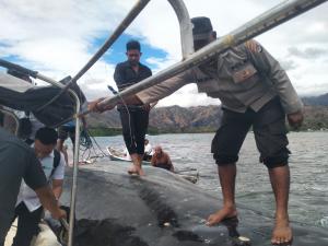 Bangkai Paus Ditemukan di Perairan Pantai Temkuna Wini-TTU