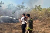 Waspada! Kawasan Hutan Di Bolok-Kupang BaratTerbakar, Anggota Polda NTT Padamkan Kebakaran