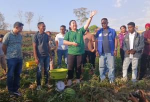 Panen di Kebun Jane, Bukti Jane Natalia Miliki Ketulusan Hati Bangun Sektor Pertanian dan Peternakan