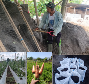 Christian Napu, Putra Petani Redong yang Sukses Ciptakan Pupuk Bokasi Ramah Lingkungan