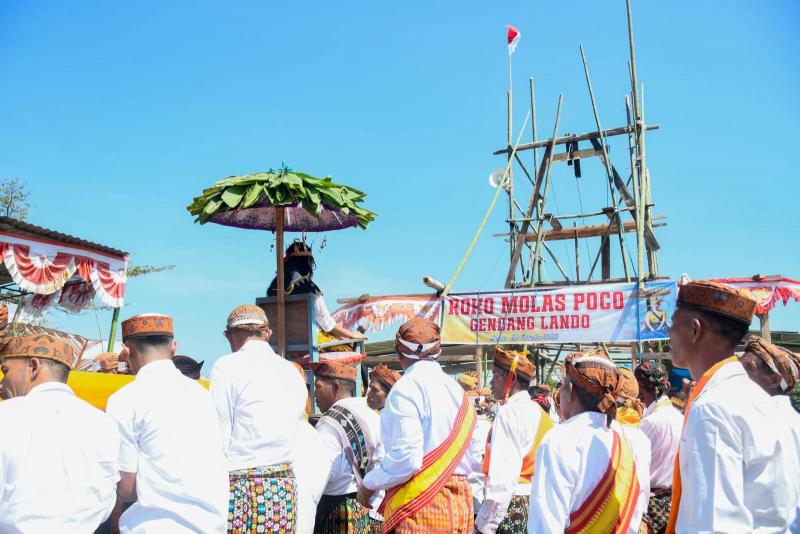 Wabup Manggarai Hadiri Ritual Adat Roko Molas Poco di Gendang Lando 