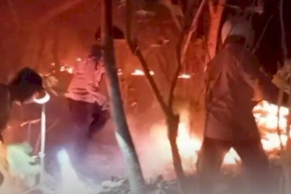 Heboh! ODGJ di Mebba-Sabu Barat Diduga Bakar Lahan Milik Warga