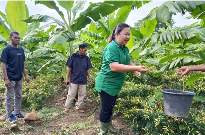Kebun Jane, Bukan Hanya Soal Produksi, Tapi Juga Pemberdayaan Sosial