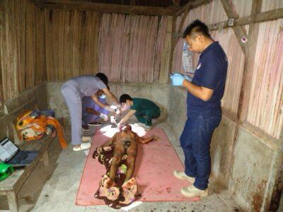 Pelaku Pembunuhan Mertua di TTS Terancam Hukuman 15 Tahun Penjara