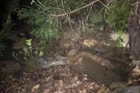 Seorang Warga Sabu Raijua Ditemukan Tewas Diduga Tergelincir ke Sungai 