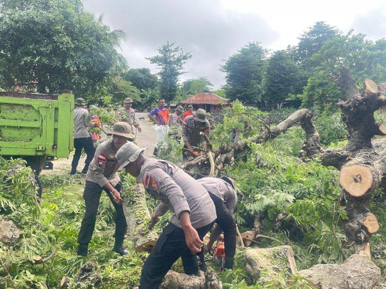 Anggota Brmob dan Tim Gabungan Membersihkan Jalan yang Tertutup Pohon Tumbang di Rote Ndao
