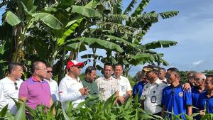 Wagub NTT Kagumi Inovasi Lapas Kupang Ubah Lahan Karang Jadi Pertanian Produktif