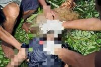 Warga Timau-Amfoang Barat Laut Tewas Terseret Banjir 