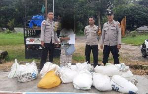 Polres Sumba Barat Amankan Ratusan Liter Miras di Perbatasan Sumba Tengah-Sumba Timur