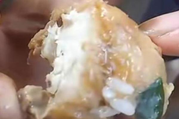 Bupati Kupang Perintah Dinkes Kabupaten Kupang Cek Menu MBG Diduga Berulat