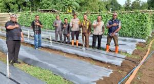 DPRD TTS Apresiasi Inovasi Polsek Kualin `Sulap` Lahan Pasir Jadi Sentra Hortikultura