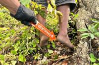 Warga Malumbi-Sumba Timur Ditemukan Tewas Gantung Diri