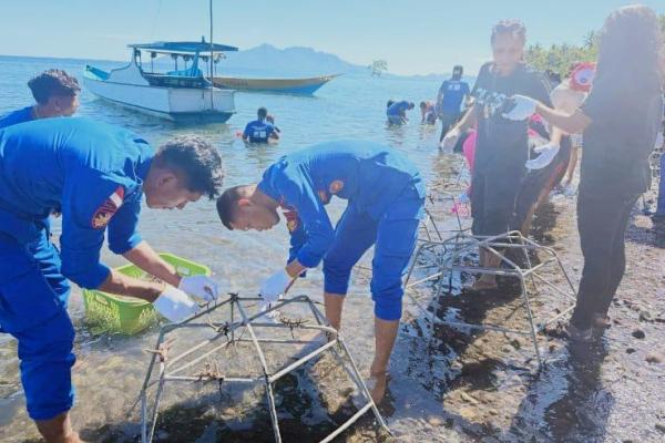 Aksi penanaman fragmen karang oleh aparat Satpolairud Polres Sikka dan berbagai elemen masyarakat, Sabtu (2/5/2026) 
