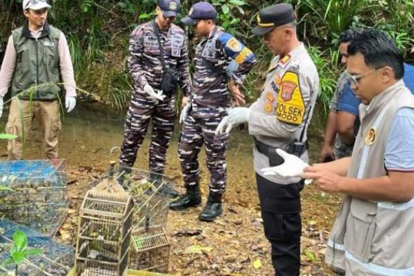 Tim Gabungan di Manggarai Barat Gagalkan Pengiriman Ribuan Burung dari Labuan Bajo ke Surabaya