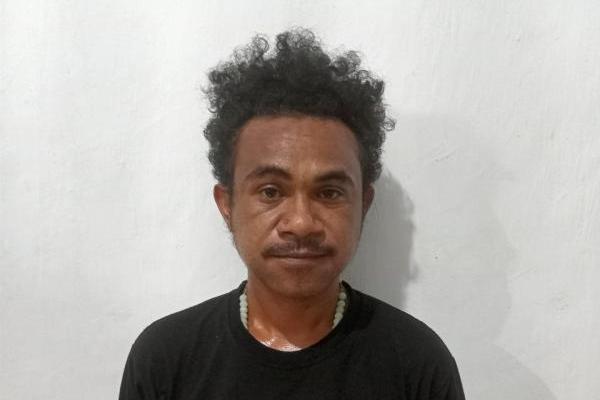 MIB alias Musa, DPO kasus tabrak lari di Rote Ndao yang berhasil diringkus polisi 