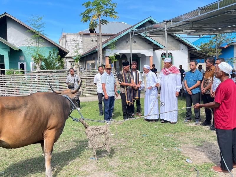 Penyerahan bantuan hewan kurban oleh Pemkab Manggarai kepada imam masjid di Nuca Molas menjelang Idul Adha. 