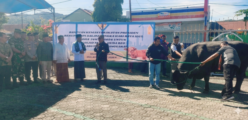 PJS Danramil Reok Kawal Penyerahan Hewan Kurban Bantuan Presiden Prabowo