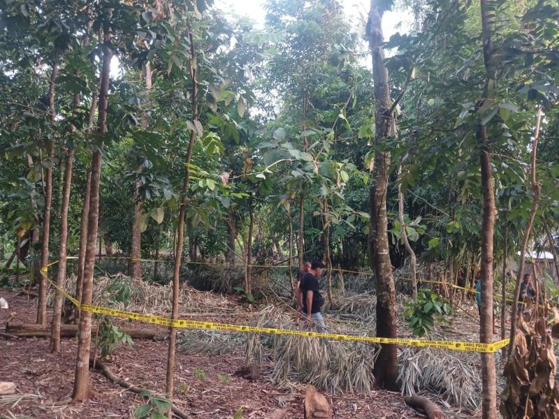 Lokasi pembacokan korban hingga tewas 