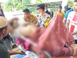 Sempat Mendapat Perawatan Medis, Dua Korban Kecelakaan Truk di Ndoso Meninggal Dunia di RSUD Komodo