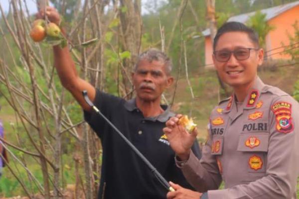 Kapolres TTS AKBP Kristiyan B. Martino meninjau tanaman apel Soe milik warga setempat, Simon Oematan, yang berhasil tumbuh dan berbuah di pekarangan rumahnya. 