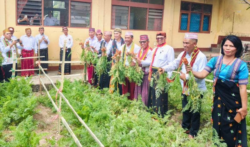 Bupati Hery Nabit bersama jajaran memanen wortel dalam program Green School SMPN 2 Langke Rembong, Kamis (13/8/2026). 