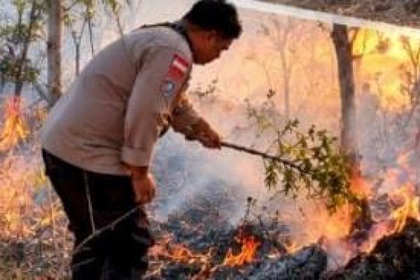   Sekitar 20 hektar lahan kosong di wilayah RT 002/RW 001, Dusun I, Desa Depe, Kecamatan Sabu Barat, Kabupaten Sabu Raijua terbakar pada akhir pekan lalu. 