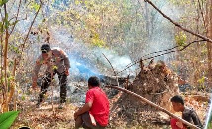 Upaya pemadaman api 0ada kawasan hutan yang terbakar dilakukan aparat kepolisian dan warga. 